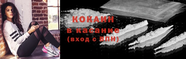 соль ск Арсеньев
