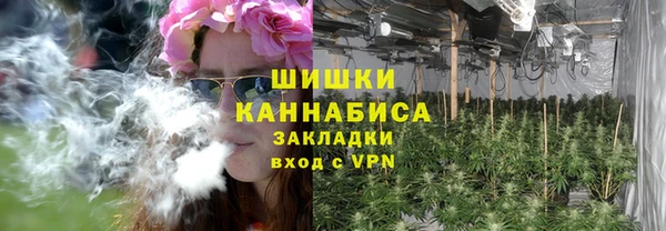 соль ск Арсеньев