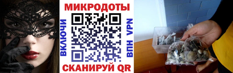 Псилоцибиновые грибы Psilocybine cubensis  Мурманск 