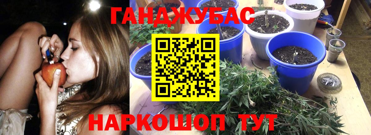 Канабис конопля Мурманск